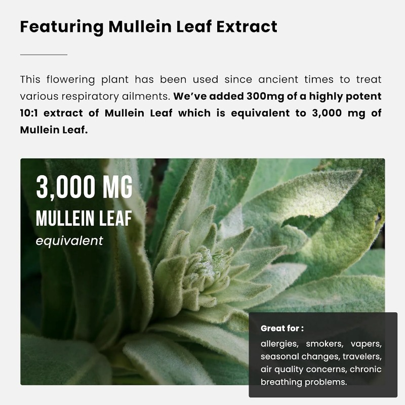 مستخلص أوراق نبات المولين - من - مراجعة Herbal Supplement وسعره